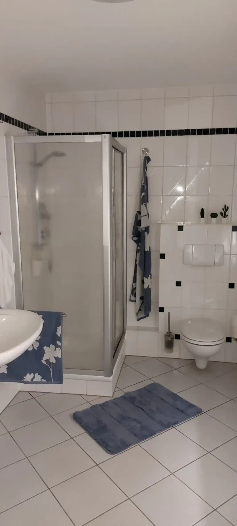 Ferienapartment Sauerland: Badezimmer